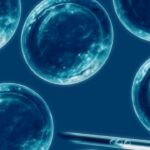 f1280x720-14822_146497_5050