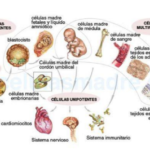 Captura-de-pantalla-2018-03-16-a-las-13.11.39