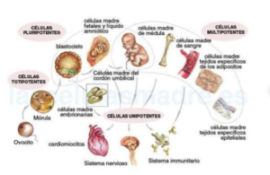 Captura-de-pantalla-2018-03-16-a-las-13.11.39