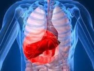 20190715_194233-800x610