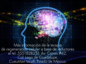 1570759431479-512x384