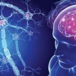 que-es-la-esclerosis-multiple