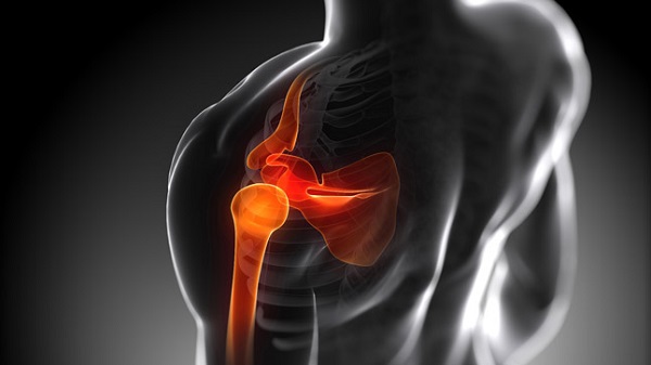 3d rendered anatomy illustration - painful shoulder