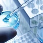 Medicina-regenerativa222-800x600