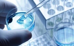 Medicina-regenerativa222-800x600