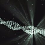 fotonoticia_20201008070837_420