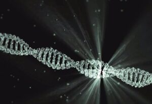 fotonoticia_20201008070837_420