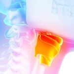 Fotolia_49608439_Subscription_Monthly_M