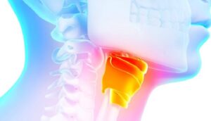 Fotolia_49608439_Subscription_Monthly_M