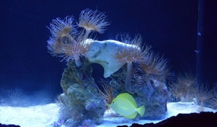 post_WhatsApp_Image_2022-02-03_at_1.49.29_PM