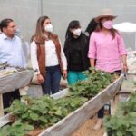 WhatsApp Image 2022-04-05 at 2.11.22 PM