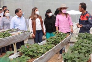 WhatsApp Image 2022-04-05 at 2.11.22 PM