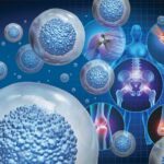 medicina-regenerativa-avanza-investigaciones-reparar