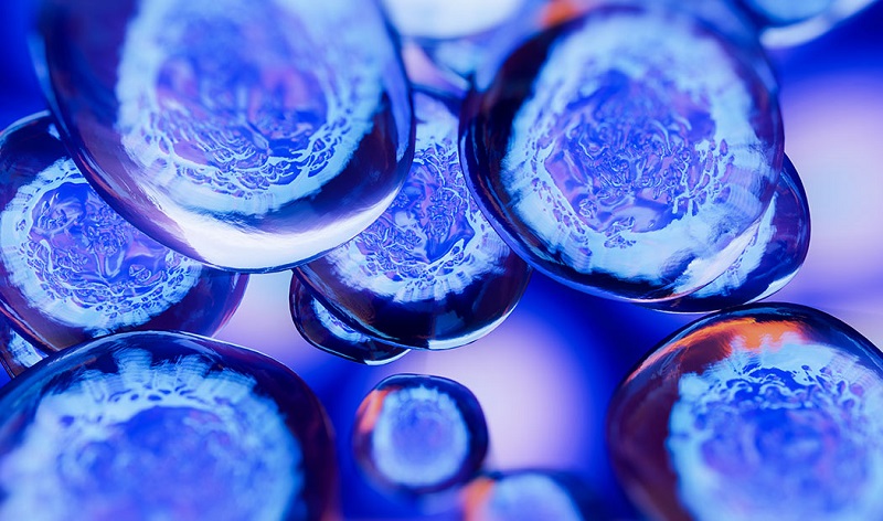 que-son-las-celulas-madre-bbmundo-2022