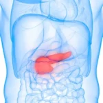 627948391_215249072_1024x576