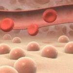 E2CB8804-FCB8-4C8E-B8C6-1A554C1588F9