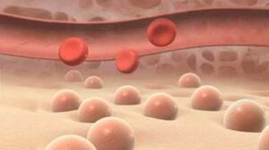 E2CB8804-FCB8-4C8E-B8C6-1A554C1588F9