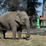 WhatsApp Image 2022-06-16 at 3.26.07 PM