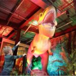 WhatsApp Image 2022-06-22 at 1.15.40 PM