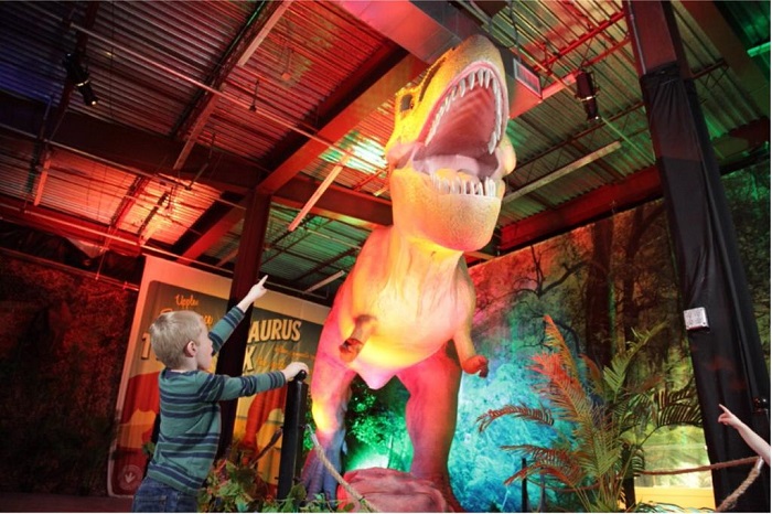 WhatsApp Image 2022-06-22 at 1.15.40 PM