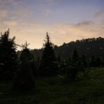 WhatsApp Image 2022-06-26 at 11.36.56 AM