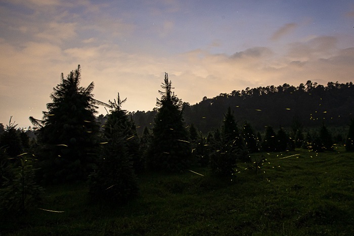 WhatsApp Image 2022-06-26 at 11.36.56 AM