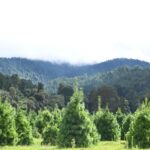 WhatsApp Image 2022-06-29 at 12.39.49 PM