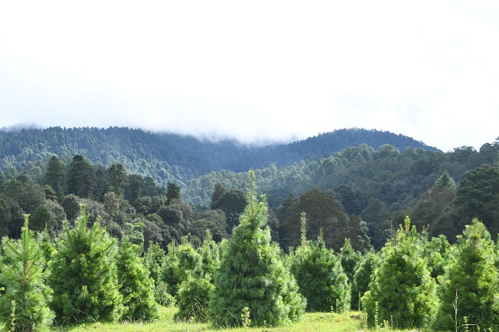 WhatsApp Image 2022-06-29 at 12.39.49 PM