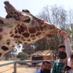 WhatsApp Image 2022-07-01 at 12.40.32 PM