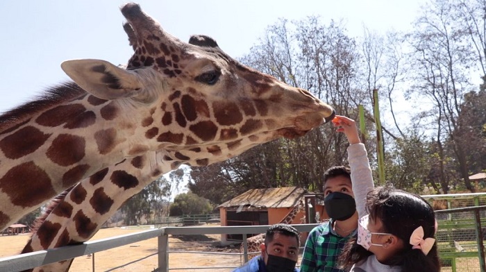 WhatsApp Image 2022-07-01 at 12.40.32 PM