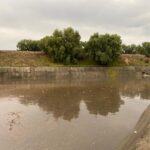 WhatsApp Image 2022-07-06 at 1.54.49 PM