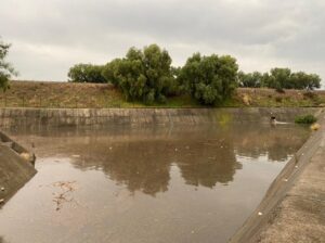 WhatsApp Image 2022-07-06 at 1.54.49 PM