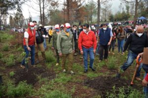 WhatsApp Image 2022-07-16 at 6.48.47 PM