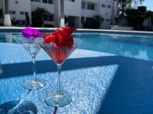 WhatsApp Image 2022-07-18 at 12.11.26 PM