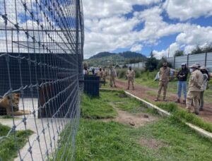 WhatsApp Image 2022-07-28 at 3.27.09 PM