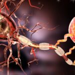 3D-illustration-of-nerve-cells-via-Shutterstock.com_-1168x657-1168x657