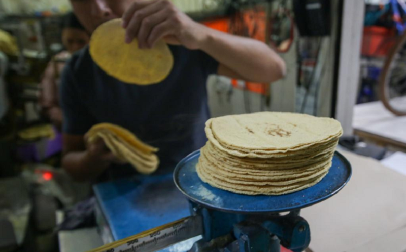 Precio de las tortillas