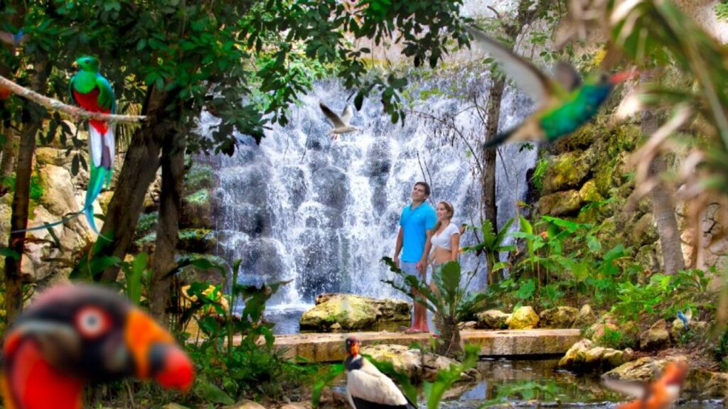 aviario-Xcaret-1280x720