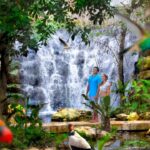 aviario-Xcaret-1280x720