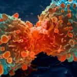 En-el-inicio-del-cancer-una-lupa-para-investigar-el-Big-Bang-tumoral