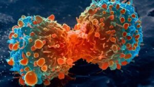 En-el-inicio-del-cancer-una-lupa-para-investigar-el-Big-Bang-tumoral