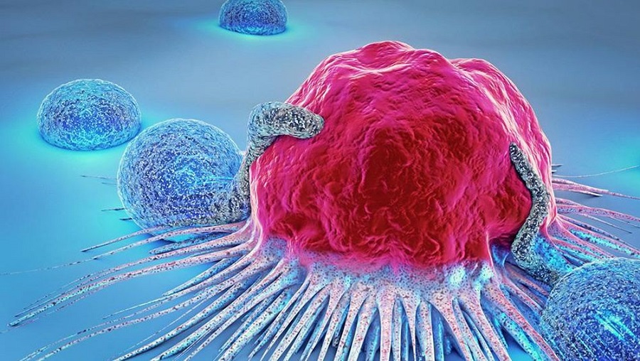 celulas-cancerigenas