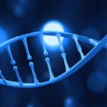 molecula-2-e1582125328128