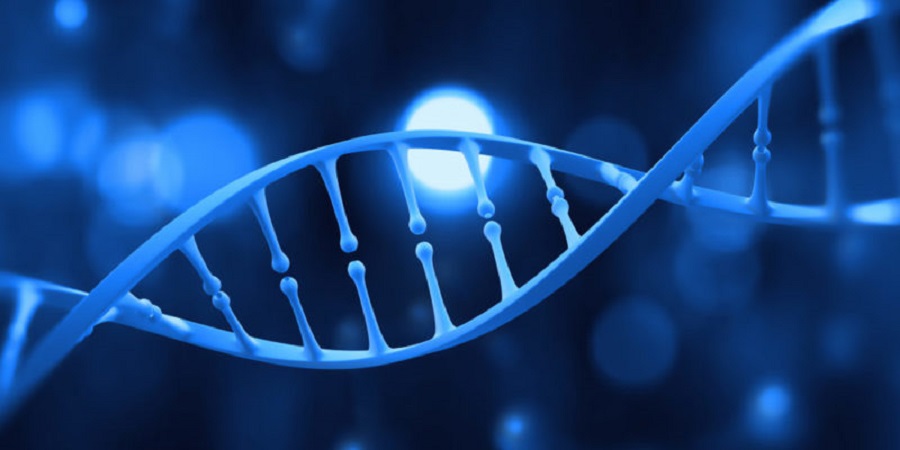 molecula-2-e1582125328128