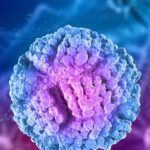 celulas-madre-cancer-1024x768