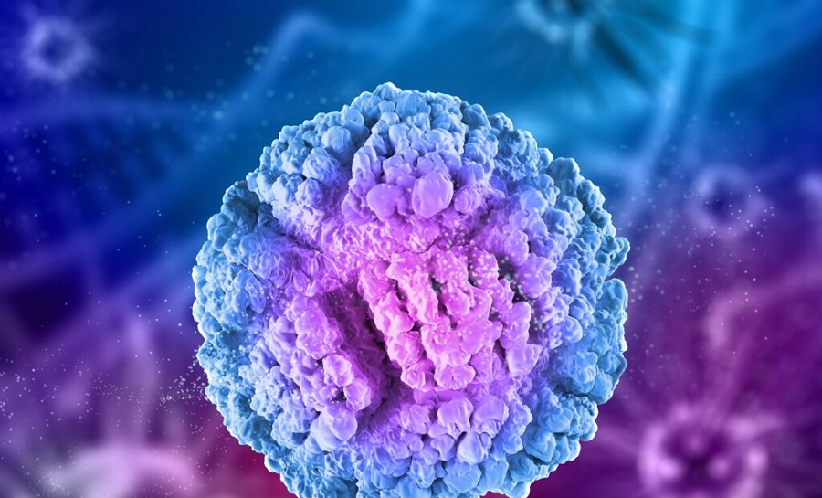 celulas-madre-cancer-1024x768