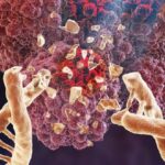 nCancer_Hero_Sep22-f4f7bc5a44bf27df60fcf95d3353232c