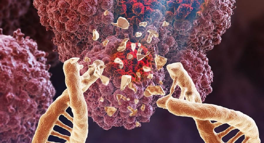 nCancer_Hero_Sep22-f4f7bc5a44bf27df60fcf95d3353232c