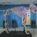 Imagen de WhatsApp 2022-11-04 a las 12.47.51