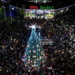 Imagen de WhatsApp 2022-12-09 a las 18.16.10